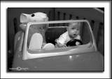 Driving Stuart LittleJanuary 15