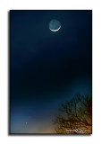 Moon Over Venus<p>February 20