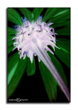 Jumbled June XXX<p>June 25