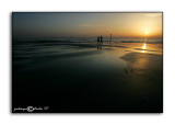 Low Tide
