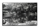 Ambient Achromatic August XIX<p>August 14