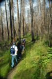 Trout Lake Hike