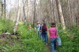 Trout Lake Hike