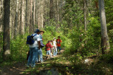Trout Lake Hike