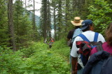 Trout Lake Hike