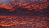 Sunset Alto Cumulus