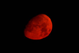 night moon_03