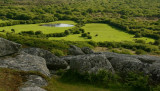 View from Helman Tor