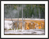 Yellowstone