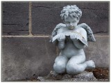 Ange qui lit / Reading Angel