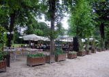Lunch at Parc Bagatelle