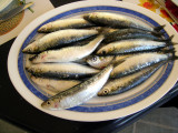 Sardinas listas para hacer a la brasa....exquisitas.