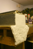 Left side view