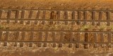 Wet track!