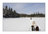 En traineau  sur un lac gel