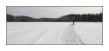 En traineau sur un lac gelé