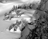 snow banks - Trees and Shadows Book