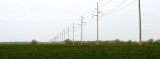 powerlines