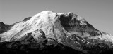 Emmons Glacier and Wintrop Glacier