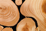 Close up of a Wooden Trivet/ Finland