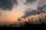 Outer Banks N.C. Sunset