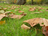 pa180046.jpg