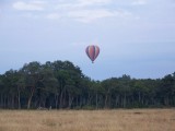Balloon in the morning-0667