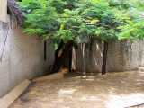 Shella street-2915