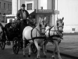 Horse-drawn carriage