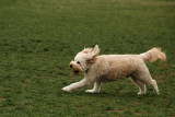 More from Kona's tennis match