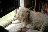 By the window . . .again