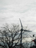 Wind Power in Toronto