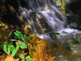 DSCN0086_700.jpg