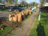 Thats a Lot of Yard Waste