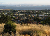 Wider view of bay and city from hill
