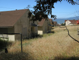 Backs of homes down the bend, awaiting goat-mowers