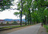 Top of the wall surrounding the Old City area of Lucca.