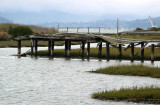 Dilapidated pier