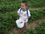 Kyle with a basket of strawberries