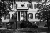 Savannah in B & W