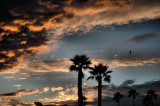 December 19- Pismo Beach Sunset