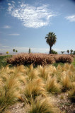 7/29/07- Panorama Drive