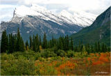  Mount Rundle 