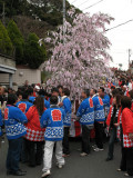 Amulet-laden sakaki tree