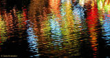 Colorful reflections