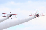 Wing Walkers #2