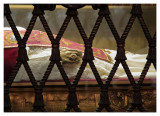 Pius X, Basilica San Pietro, Vaticano