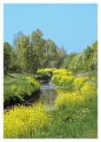 Spring near the Vloedgraaf