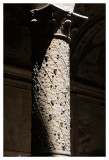 Artistic Column