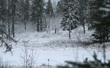 across the river...Whirlpool Lake